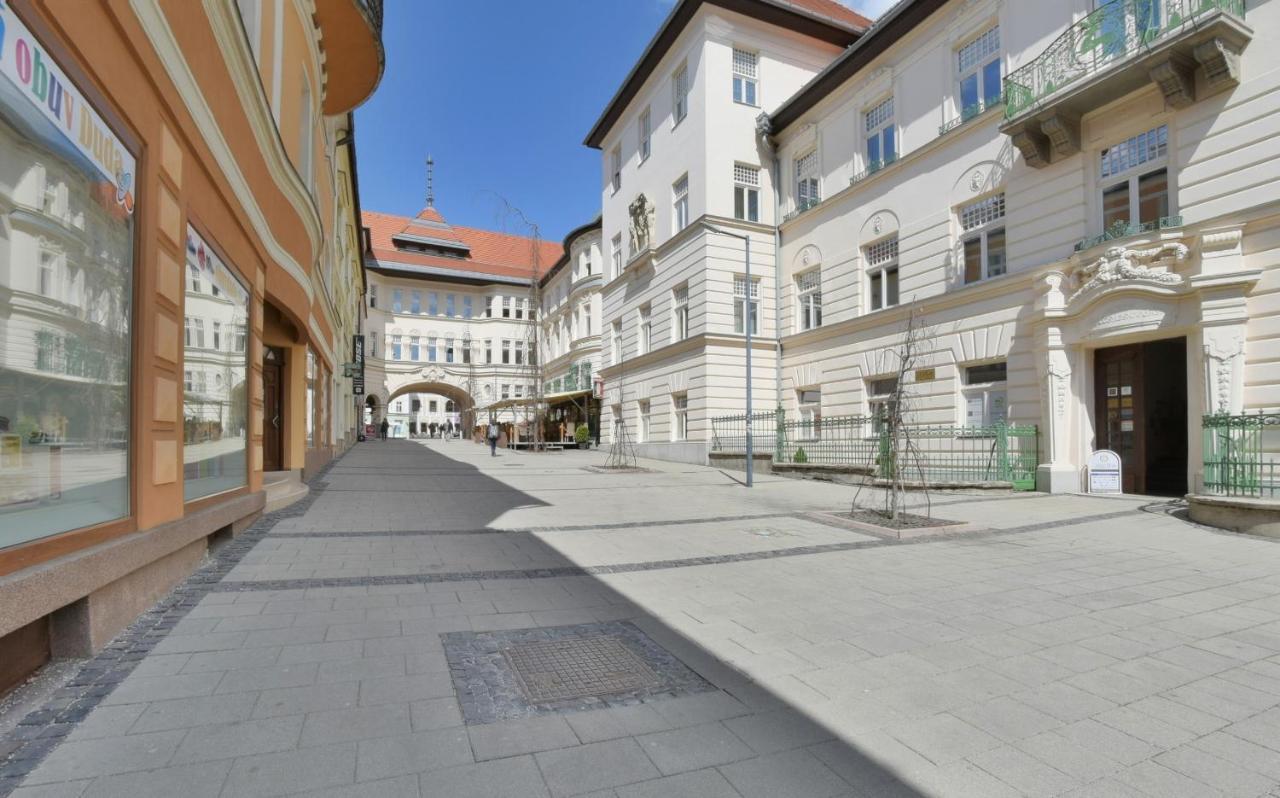 Big 75m2 Next To Opera Building In Direct Centrum, Air-conditioned, Balcony, 24h Self Checking Banská Bystrica