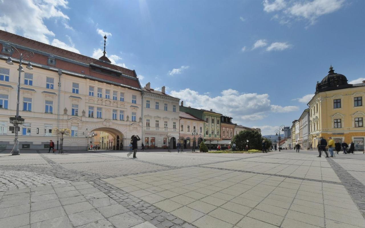 Big 75m2 Next To Opera Building In Direct Centrum, Air-conditioned, Balcony, 24h Self Checking Banská Bystrica